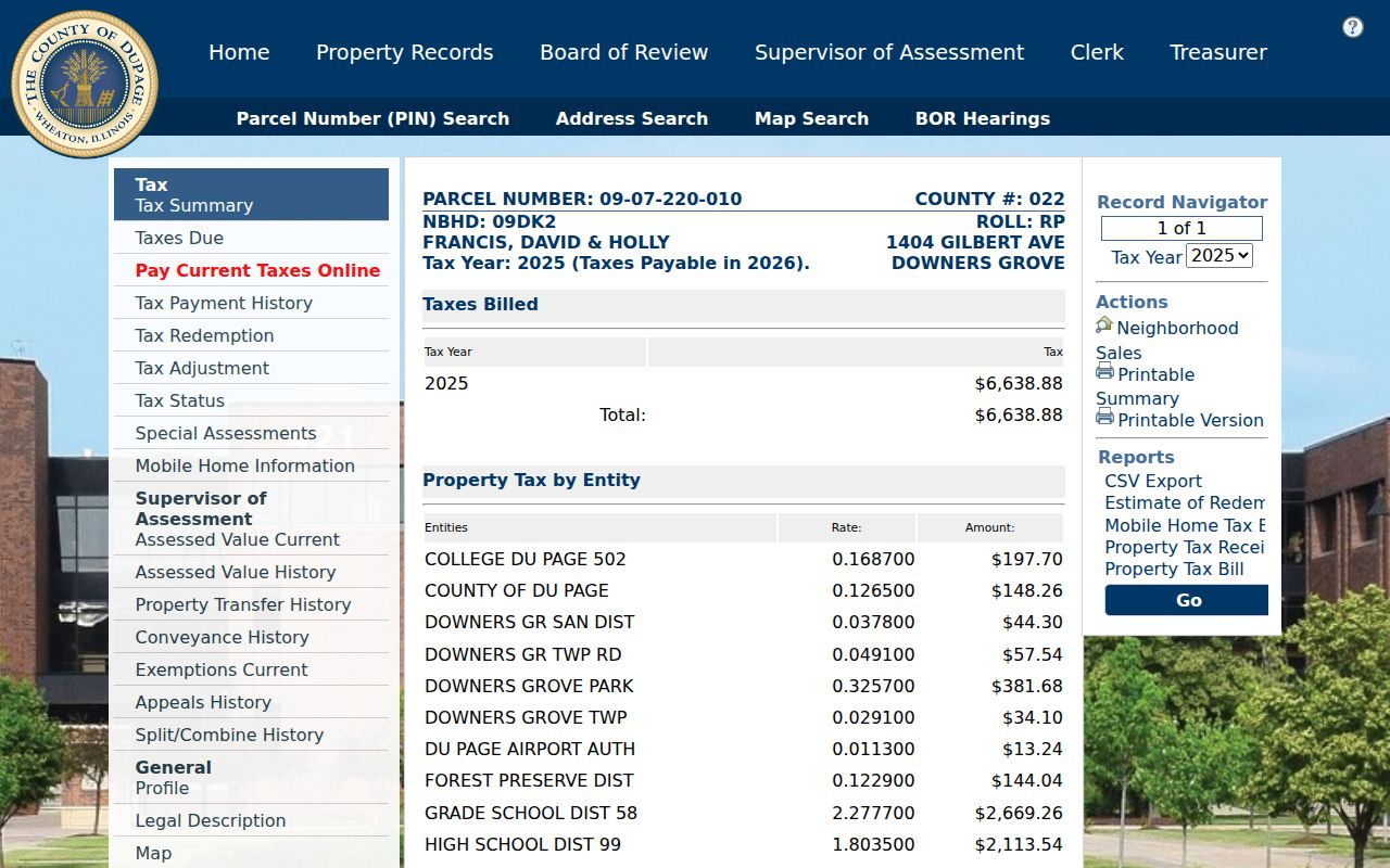 Sample DuPage parcel card showing owner billing and situs fields